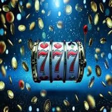 wt777 login